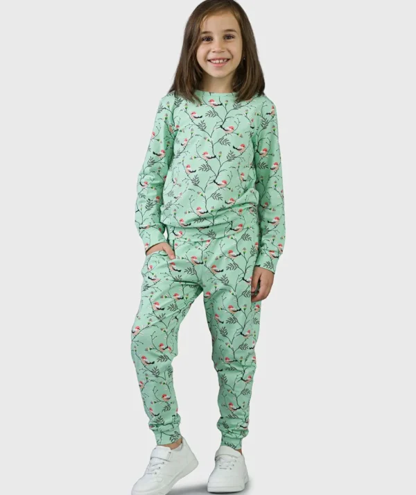 SET - Pants And Sleeve Little Birds Green