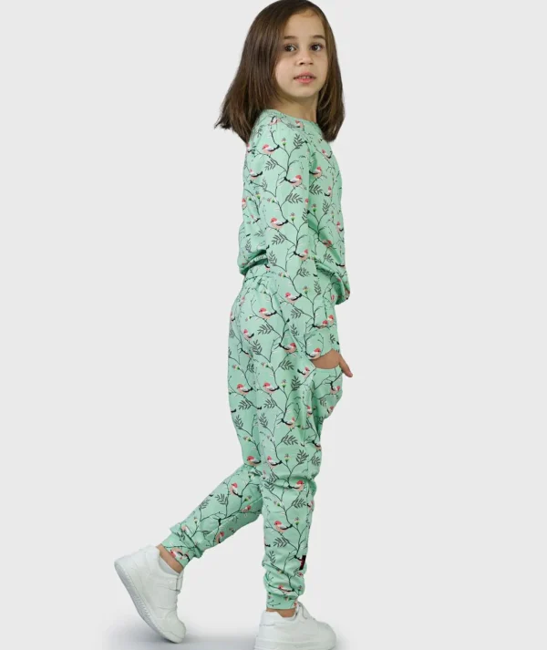 SET - Pants And Sleeve Little Birds Green